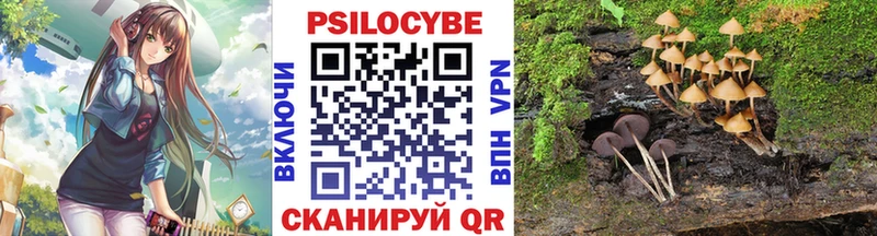 купить   Ермолино  ОМГ ОМГ ссылки  Псилоцибиновые грибы GOLDEN TEACHER 